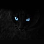 МАКСИМ, 44 года